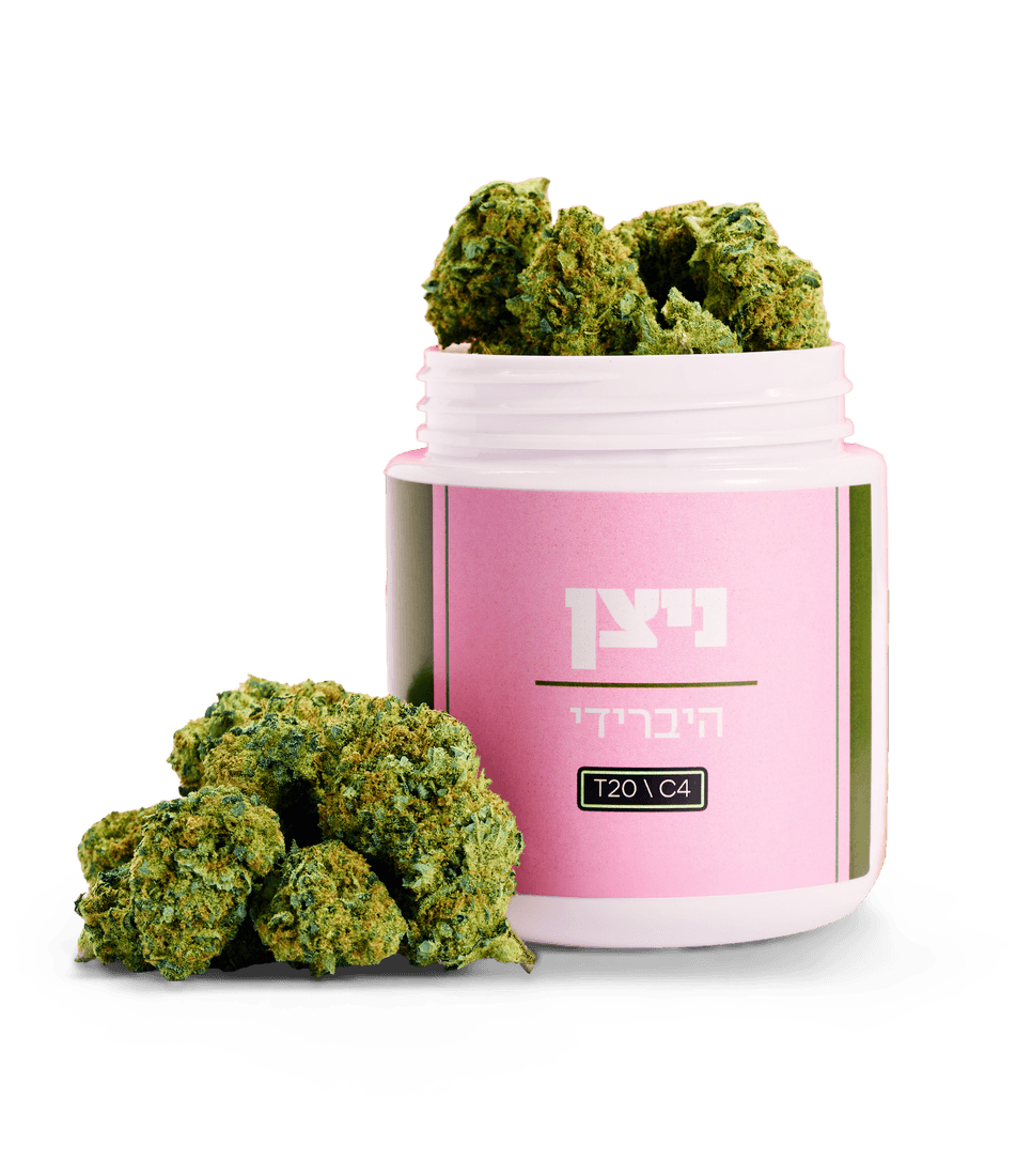ניצן